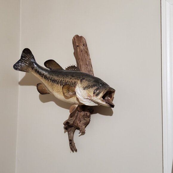 ESTATE SALE BUNDLE, FRAMED VINTAGE PIPES, PANS, Q SHEET, MOUNTED LARGE BASS FISH - Picture 2 of 7